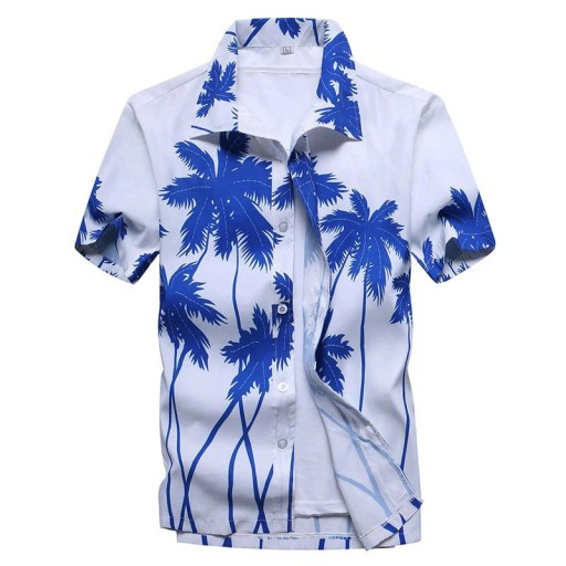 Camisa de hombre A2653