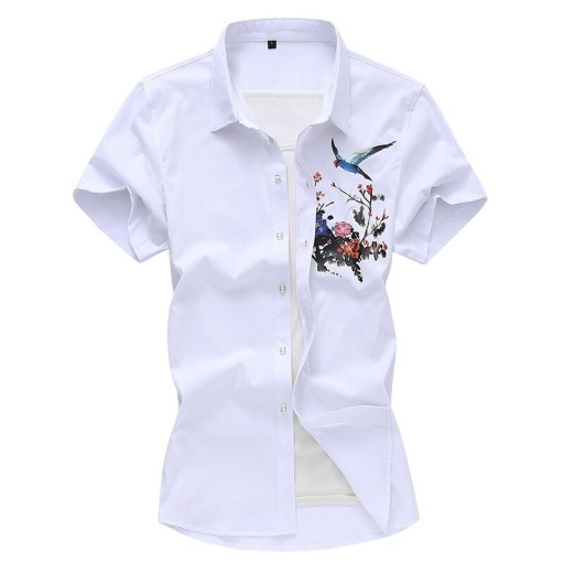 Camisa de hombre F822