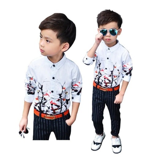 Camisa de Rapaz L1812