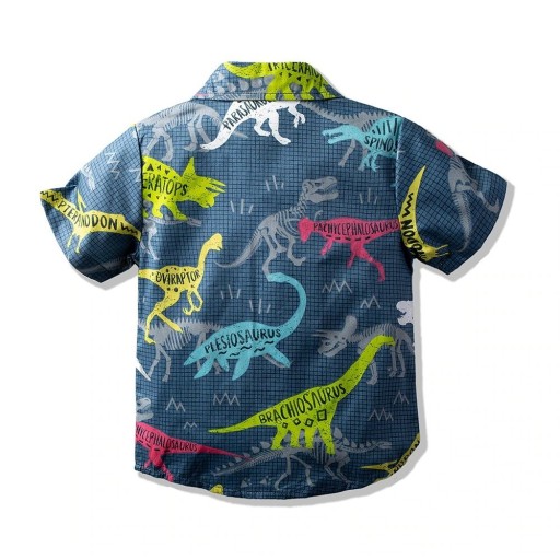 Camisa de Rapaz L1814