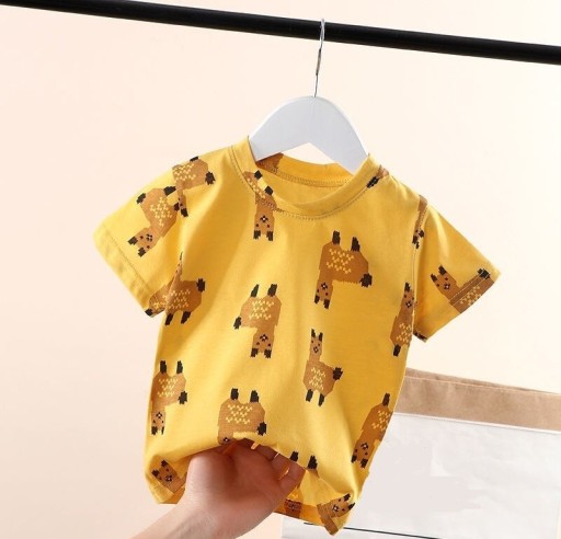 Camiseta infantil T2531
