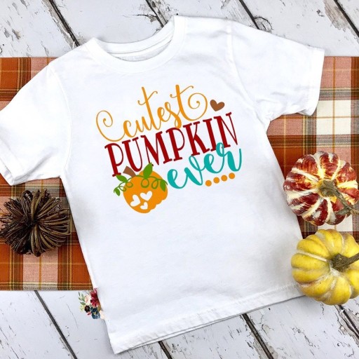 Camiseta infantil T2545