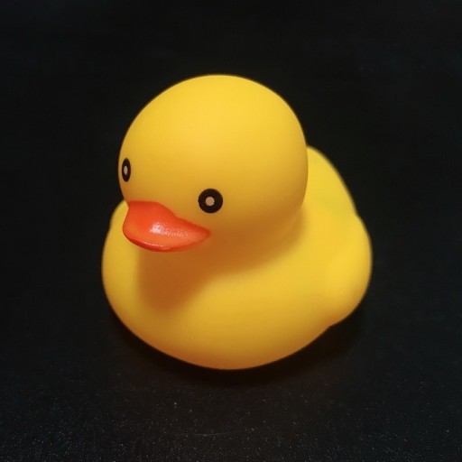 Canard de bain