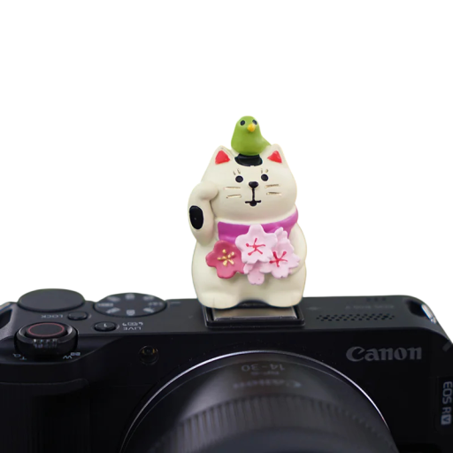 Capac pentru blițul aparatului foto cu pisică și păsărică Universal pentru montură Protecție decorativă pentru Sony Nikon Canon Fuji Pentax Leica Olympus