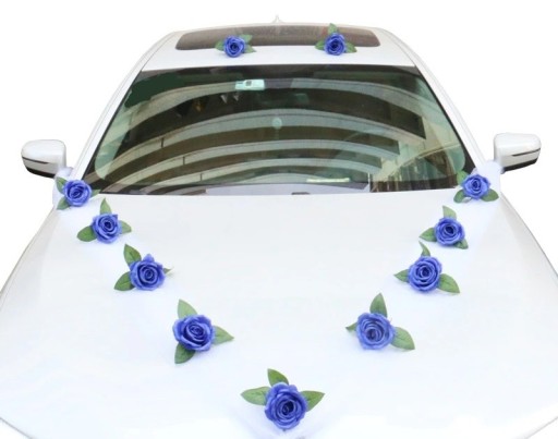 Car Sash 160 cm