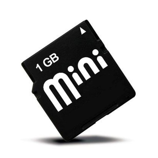 Card de memorie Mini SD 1GB