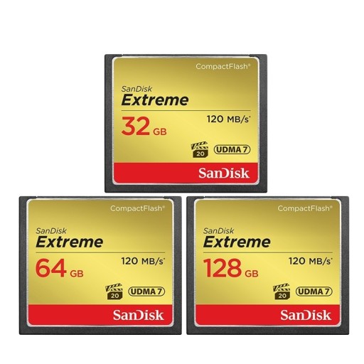 Carte mémoire Compact Flash
