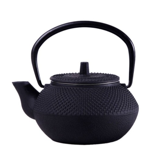 Cast Iron Teapot