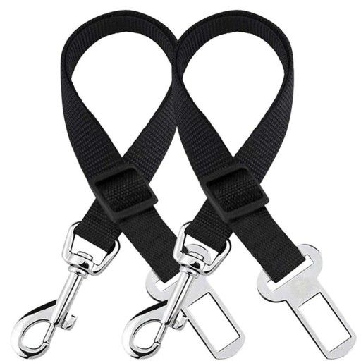 Ceinture de sécurité pour chien dans la voiture