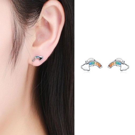 Cercei pentru femei R83