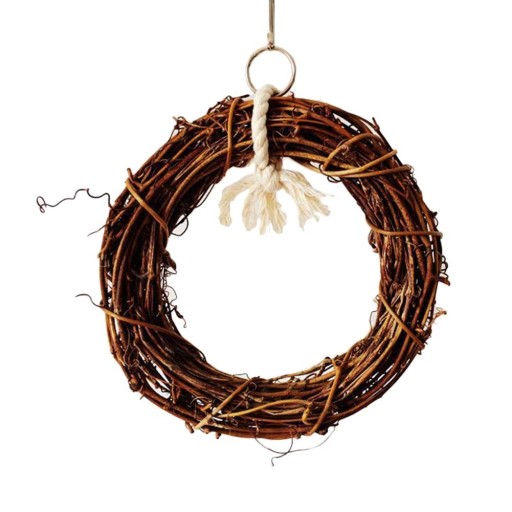 Cercle suspendu pour oiseaux