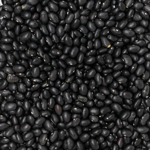 Černé fazole semínka 50 ks Phaseolus vulgaris semena Snadné pěstování