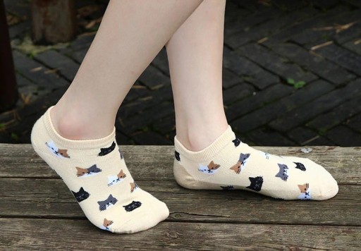 Chaussettes de cheville pour femmes avec des chats - 5 paires