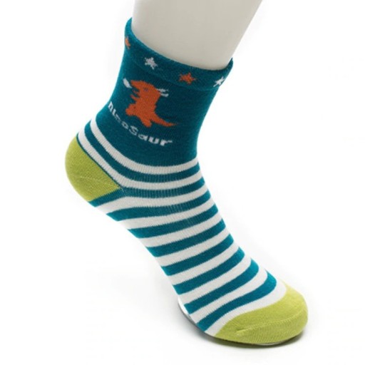Chaussettes pour enfants avec des dinosaures - 5 paires