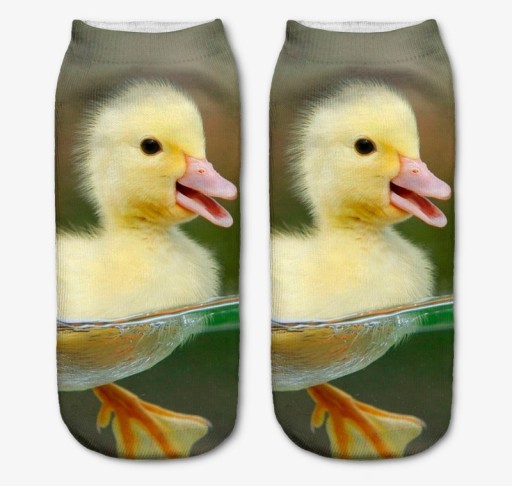 Chaussettes pour femmes avec des animaux