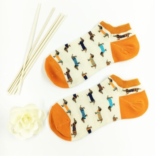 Chaussettes pour femmes avec des teckels