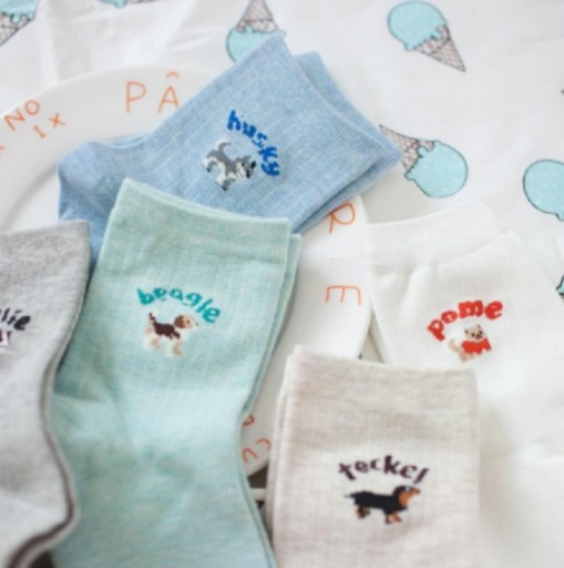 Chaussettes pour femmes avec un chien A897