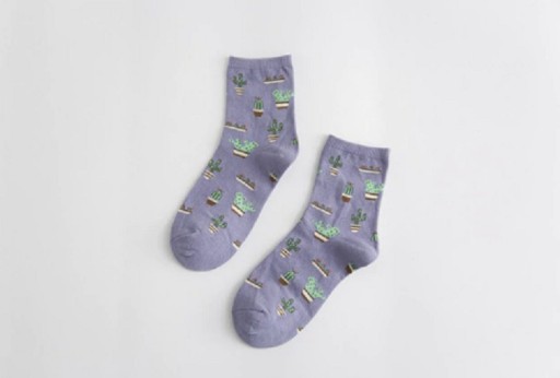 Chaussettes pour hommes avec des cactus