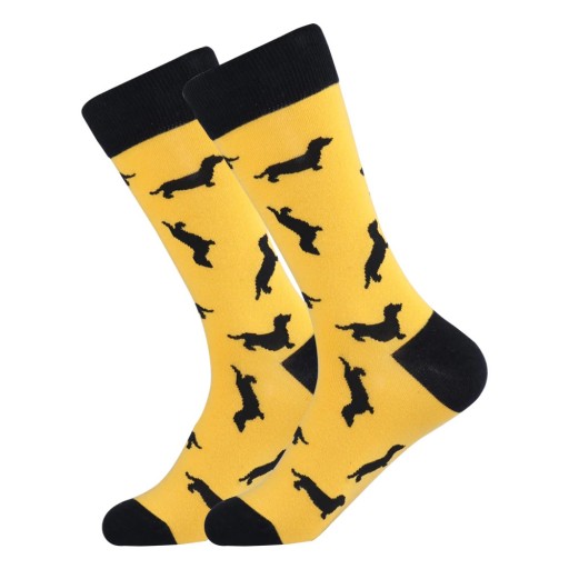 Chaussettes pour hommes avec des teckels
