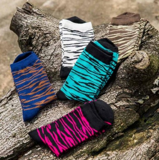 Chaussettes pour hommes avec motif de zèbre