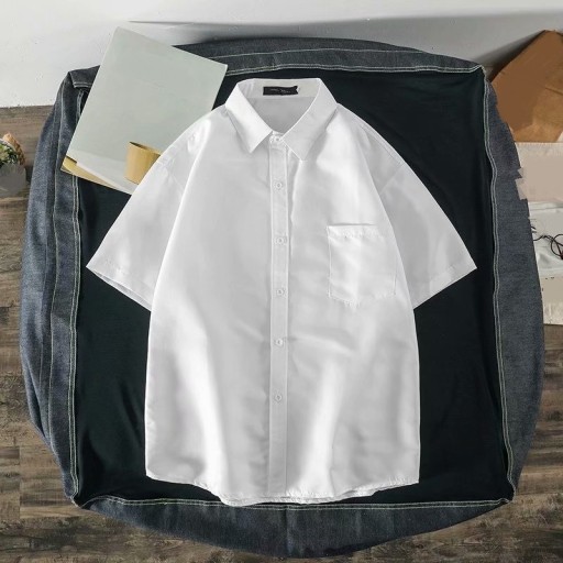 Chemise avec des chats