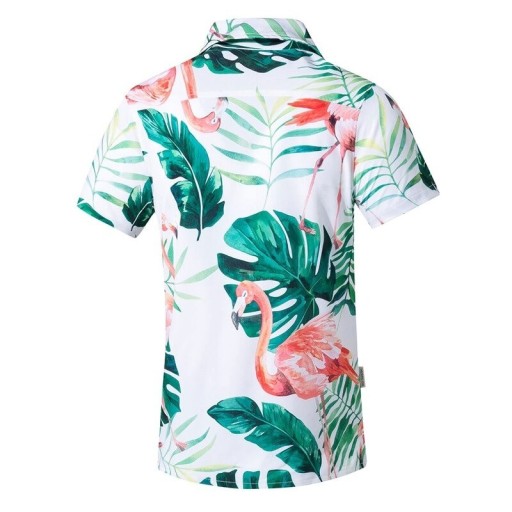 Chemise pour homme à manches courtes F619