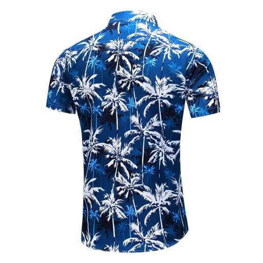 Chemise pour homme F733