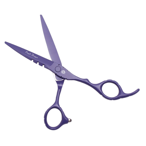 Ciseaux de coiffure en acier inoxydable 16 cm Ciseaux professionnels pour couper les cheveux Accessoires pour coiffeurs