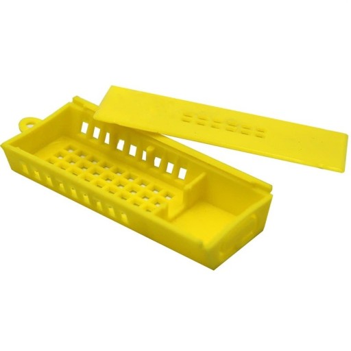 Clé de transport et d'ajout pour reines d'abeilles 10 pcs