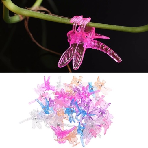 Clip pour orchidées en forme de libellule 30 pcs