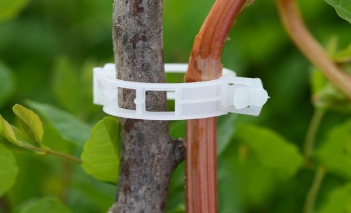 Clips pour le maintien des plantes - 100 pièces