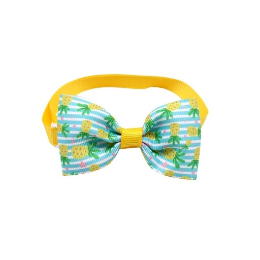 Collar con lazo 10 piezas C844