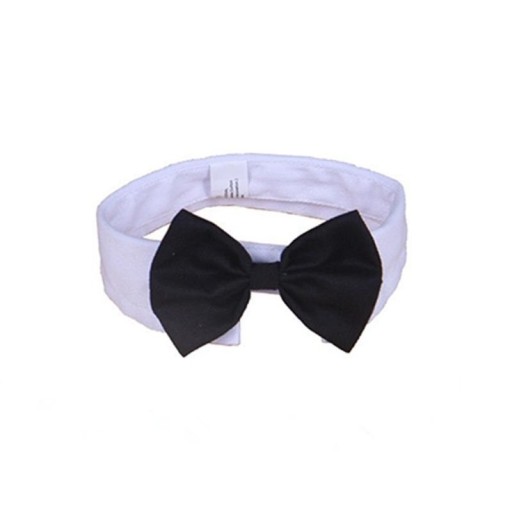 Collar with Bow Tie C726