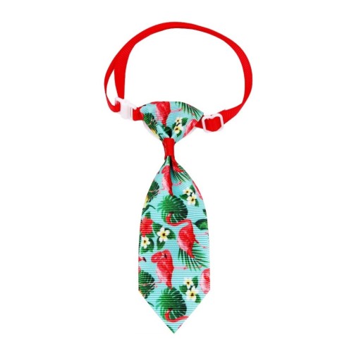 Collier avec cravate 10 pcs C845
