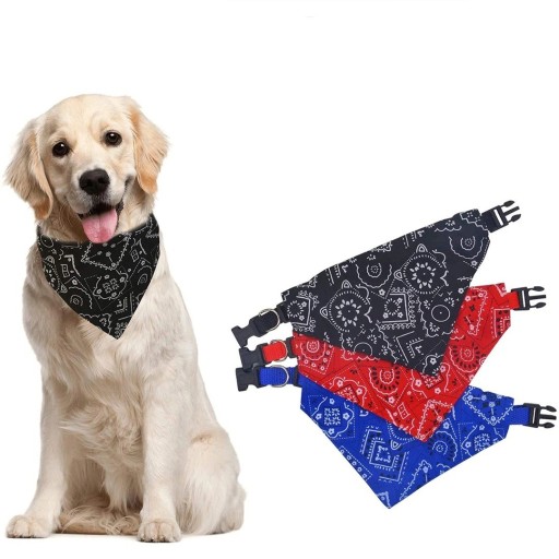 Collier avec foulard
