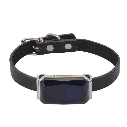Collier avec localisateur GPS