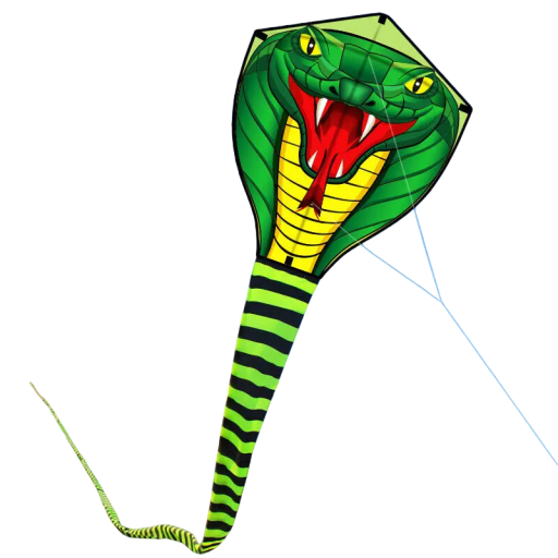 Colourful Flying Kite in the Shape of a Snake 70 x 80 cm with an 8 m Long Tail Lightweight Polyester Outdoor Kite for Children and Adults