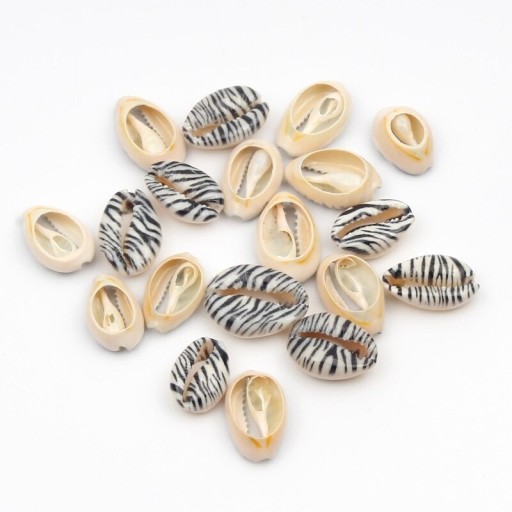 Conchas decorativas con adornos 10 uds C519