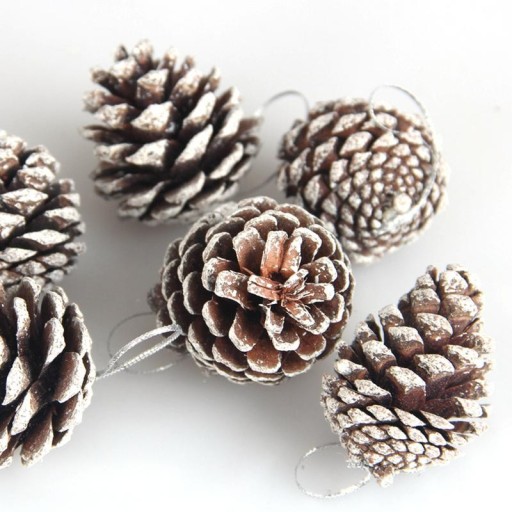 Cônes décoratifs 6 pcs