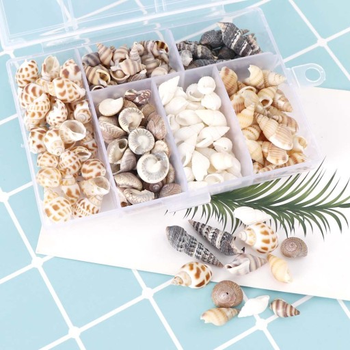 Coquillages naturels décoratifs 100 pcs