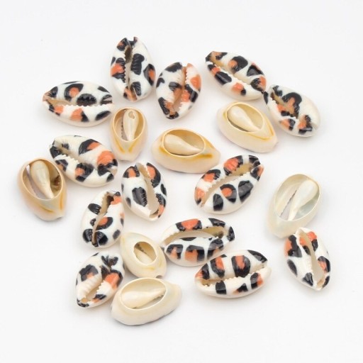 Coquilles décoratives avec ornements 10 pcs C519