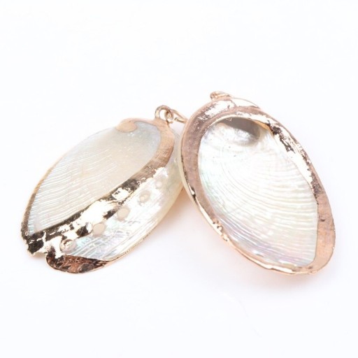 Coquilles dorées 2 pcs