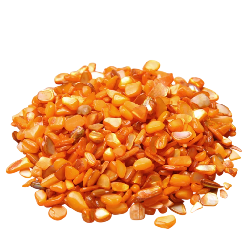 Coralhos naturais de conchas 3–5 mm 20 g material natural coralhos pequenos para fabrico de joias e criação criativa
