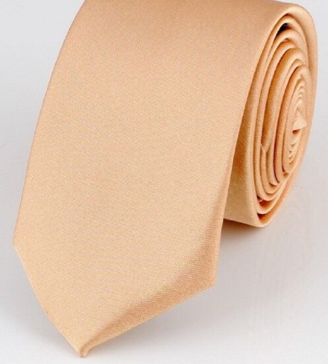 Corbata T1202