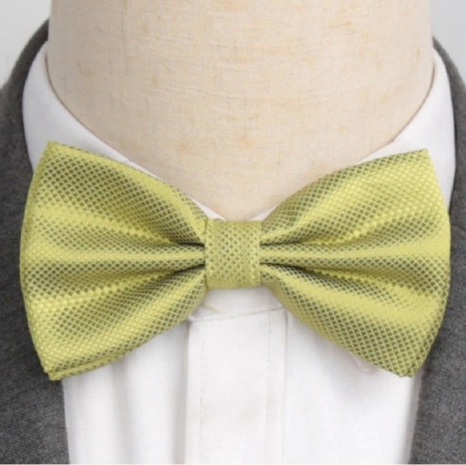 Csokornyakkendő T1265