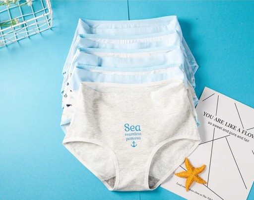 Cuecas femininas de cintura alta - 5 unidades