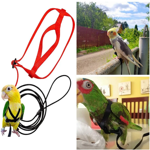 Cuerda de entrenamiento para aves con arnés Correa de seguridad de nylon Circunferencia del pecho 35 cm Longitud de la correa 160 cm Adecuado