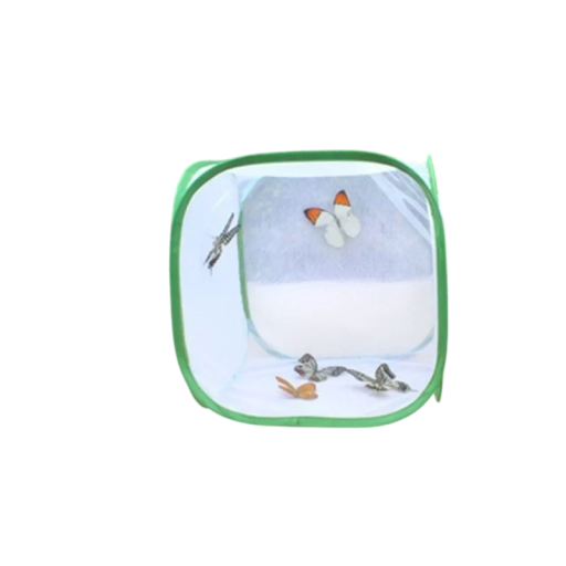 Cușcă textilă din plasă împotriva insectelor 30 x 30 x 30 cm material alb cu margine verde pentru protecția și observarea insectelor