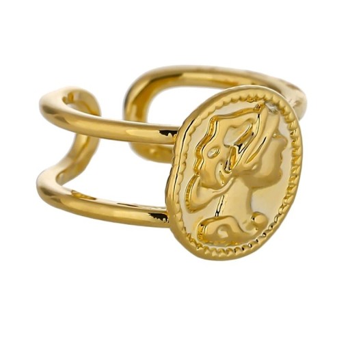Dame ring D2821