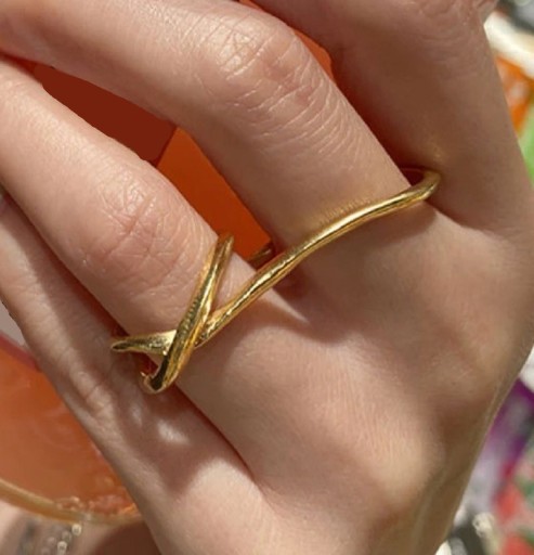 Dame ring D2829